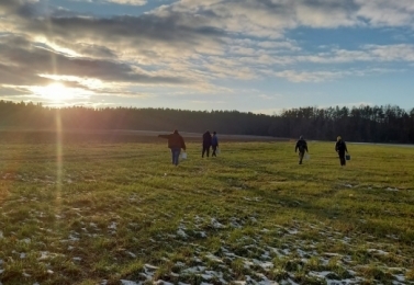 Vycházka do lesa